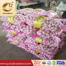 Wholesale Factory Price Air Dried Garlic